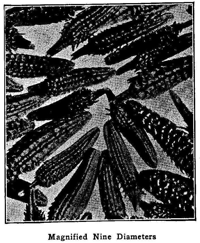 Magnified Nine Diameters