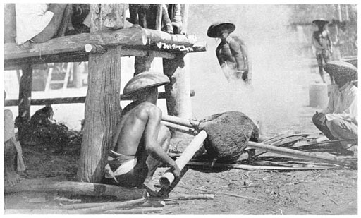 Singeing a Pig at a Ceremony.