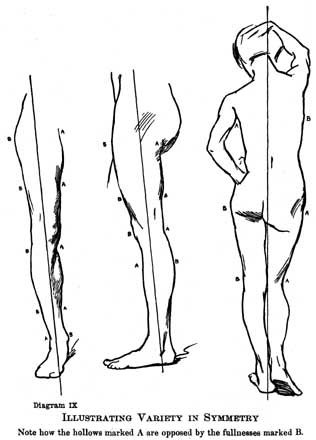 Diagram IX. ILLUSTRATING VARIETY IN SYMMETRY Note how the hollows marked A are opposed by the fullnesses marked B.