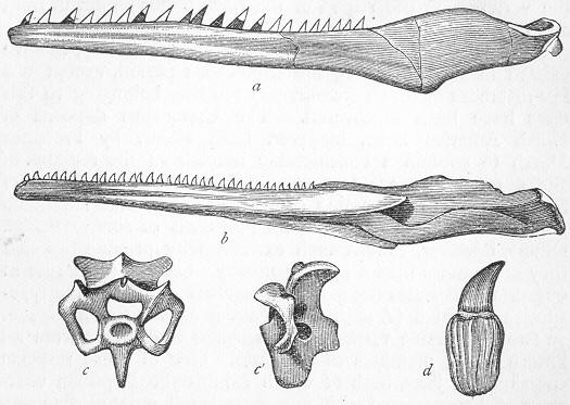 Fig. 212