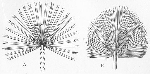 Fig. 234