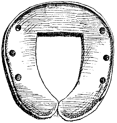 FIG. 8.