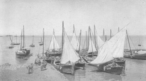 CARGO BOATS, BAHREIN.