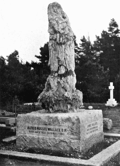 THE GRAVE OF ALFRED RUSSEL AND ANNIE WALLACE