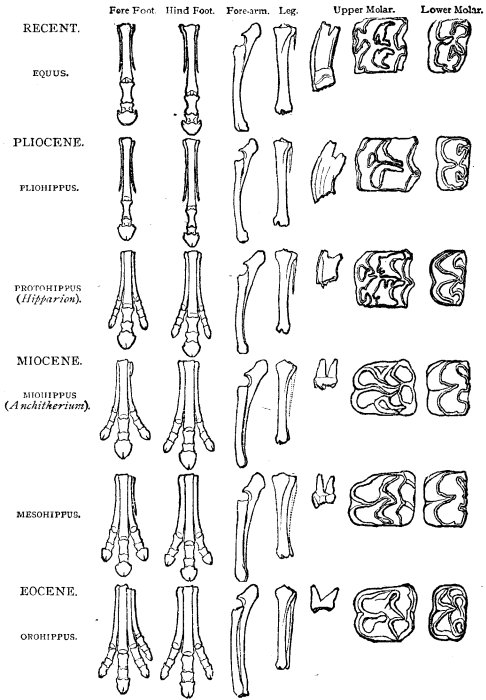 FIG. 9.