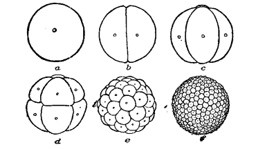 FIG. 8.