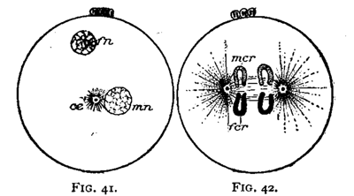 FIG. 41-42