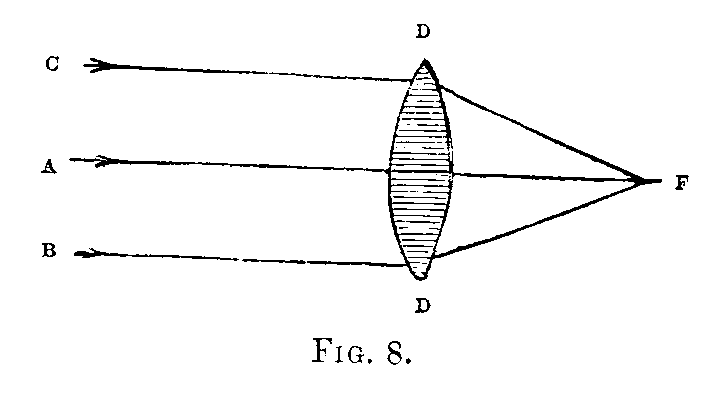 [Illustration: Fig. 8]