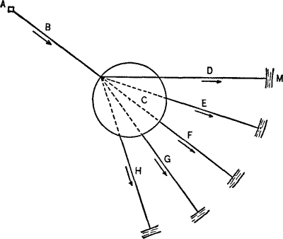 Figure II.—The Organization of Tendencies