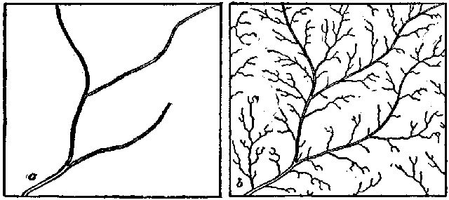 Fig. 10.—Showing the diverse action of rain on wooded
and cleared fields, a, wooded area; b, tilled ground.