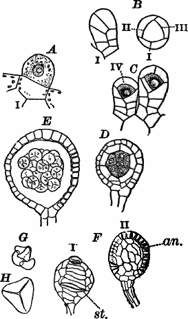 Fig. 69.