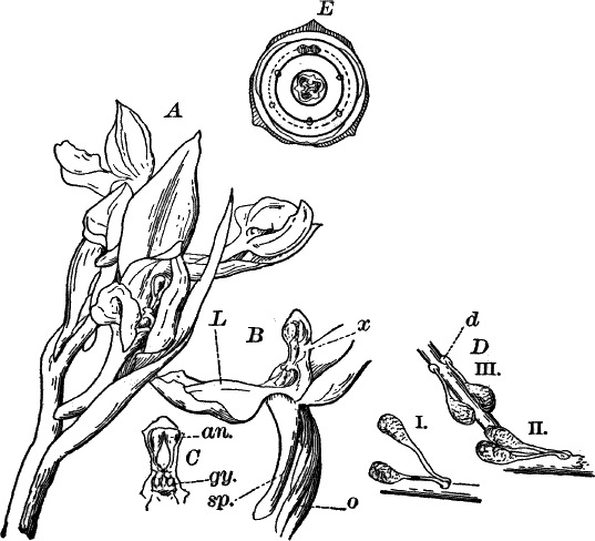 Fig. 89.