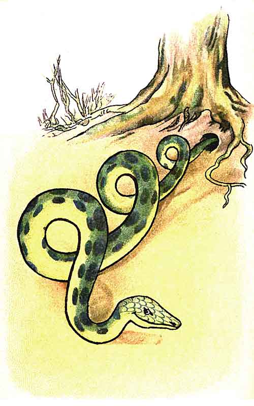 Illustration