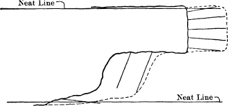 longitudinal section