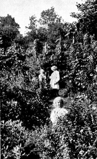 Herbs and Children, a Happy Harmony