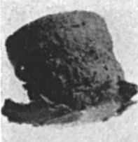 Fig. 829a.