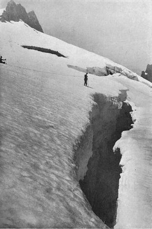 Great Crevasses in the upper part of Cowlitz Glacier.