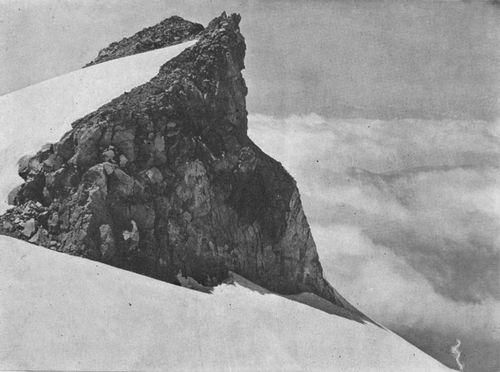 Great Crag on the ridge separating the North and South
Tahoma Glaciers.