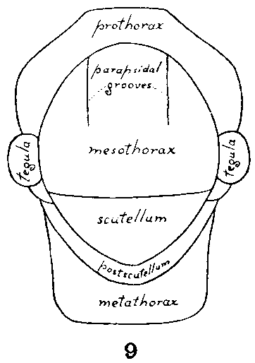 Image14