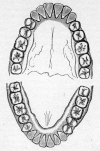 Teeth.