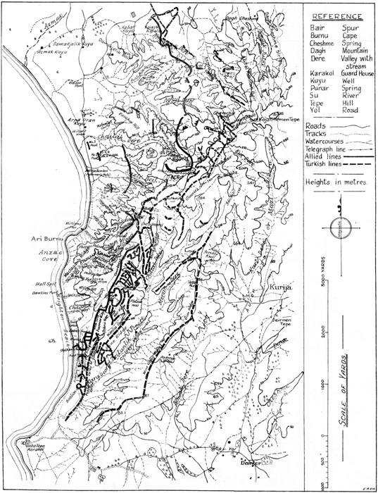 The Australian Lines on Gallipoli