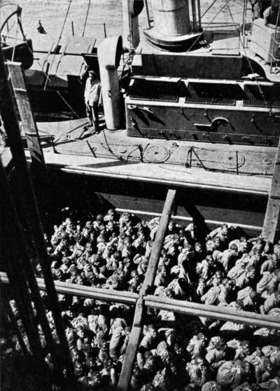 Looking down at hold of a ship crowded with men