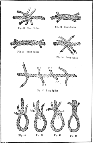 Plate IV