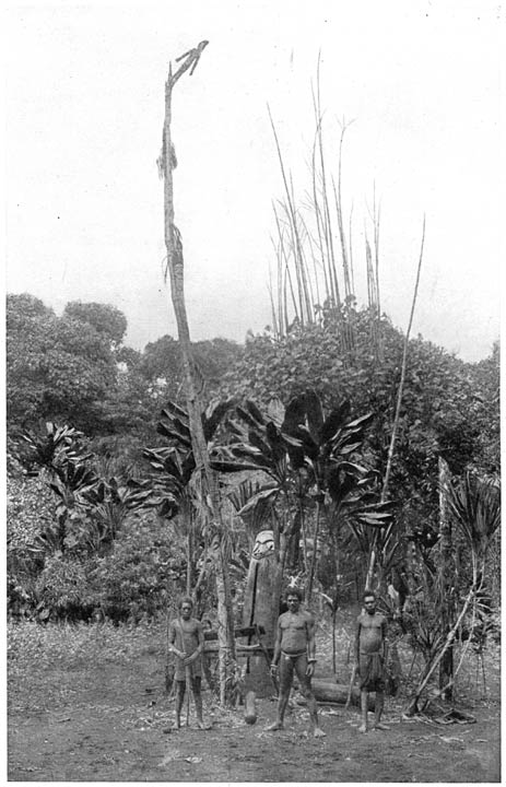 GROUP OF DRUMS AND STATUES ON MALEKULA.