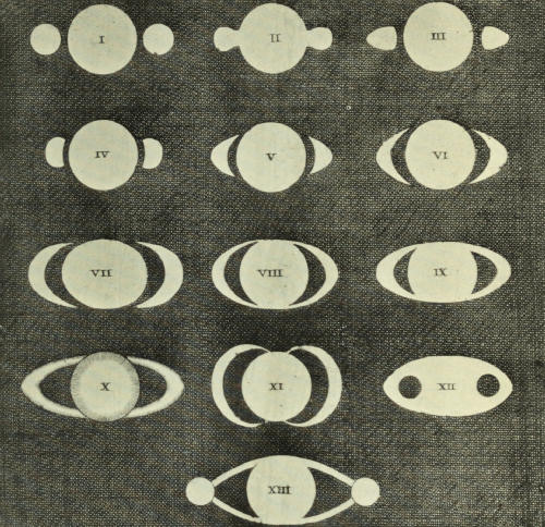 Plate XVI.