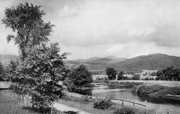 "I shall always think of Vermont as the State of wild
lawns and gardens"