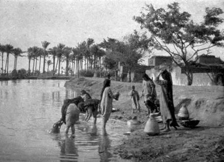 By the Banks of the Nile