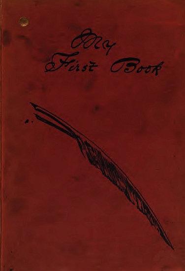 image of book's cover