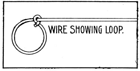 SNARE LOOP.