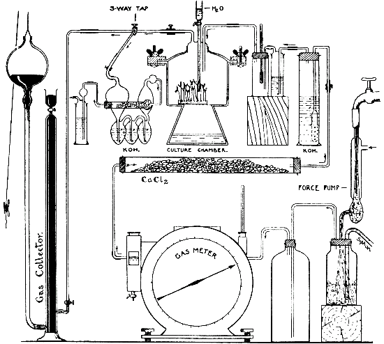 Fig. 35