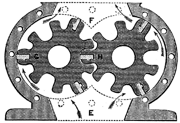 Rotary Pump