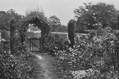 A Roadside Cottage Garden.