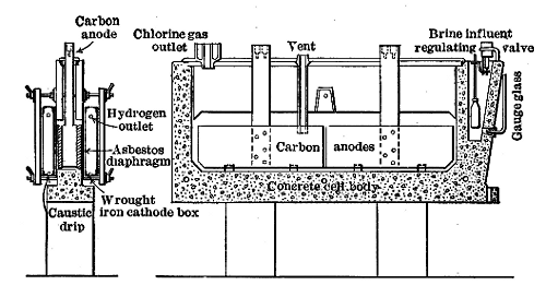 Sections of Allen-Moore
Cell