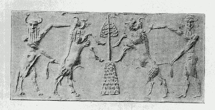 Plate III A.