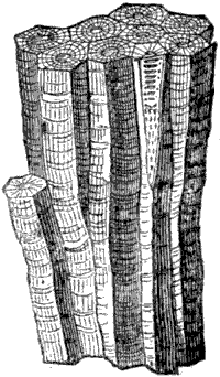 Fig. 58