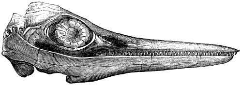 Fig. 95