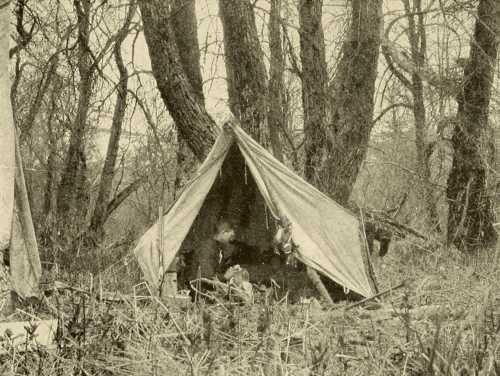 Our Camp among the Cottonwoods