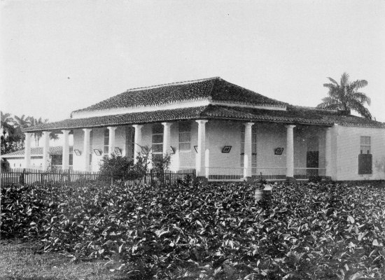 TOBACCO FARM AND DWELLING.