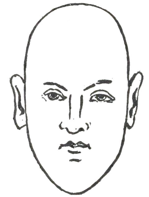 Fig. 19

NARROW FACE