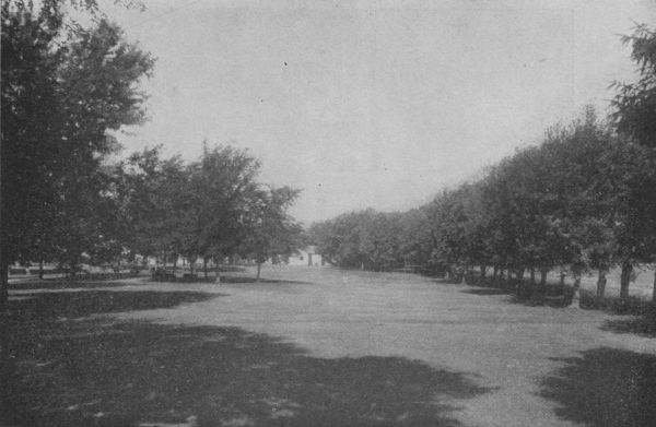 CAMPUS AND PLAYGROUND