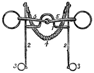 Bridle