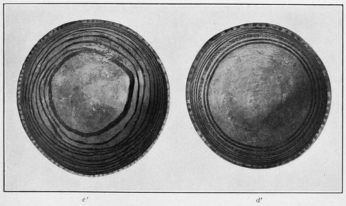 PLATE 25