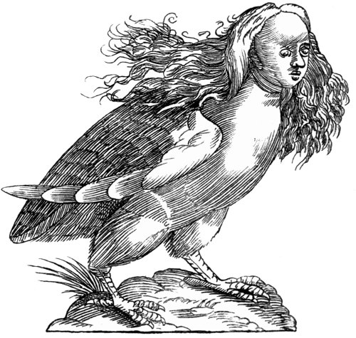 The Harpy