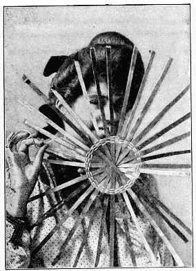 Photo of girl holding bottom of basket up in front of her face