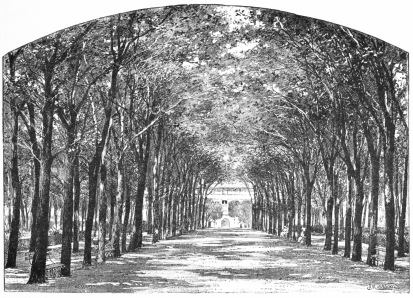 THE PARK, SALPÊTRIÈRE.