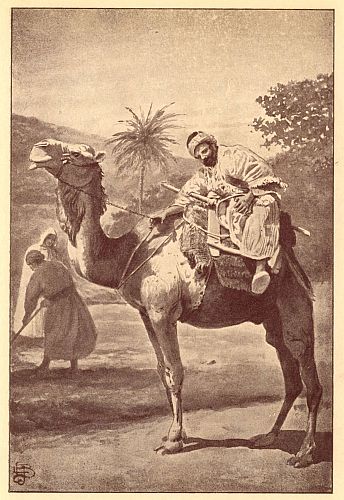 man on camel